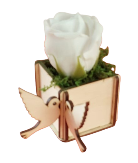 Cutie pentru aranjamente florale cu porumbei [2]