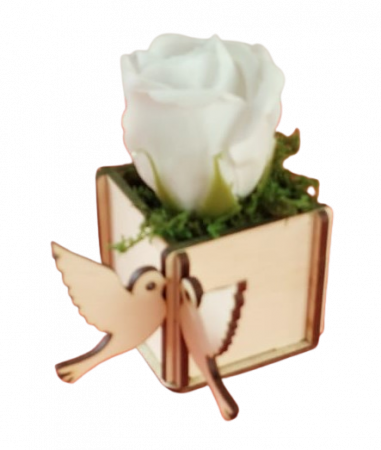 Cutie pentru aranjamente florale cu porumbei [1]