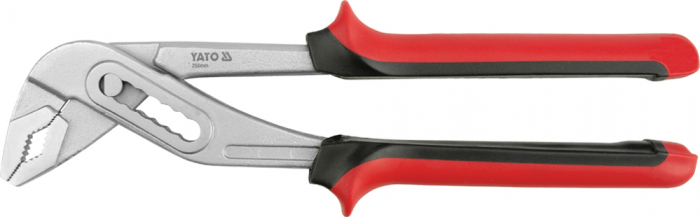 Cleste Papagal 250Mm [1]