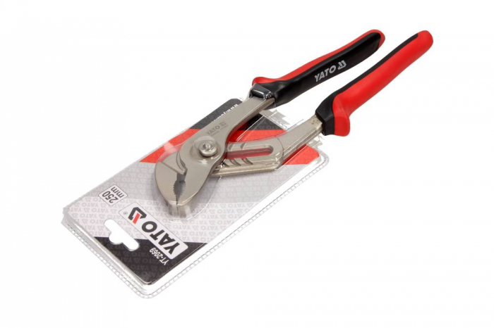 Cleste Papagal 250Mm [1]