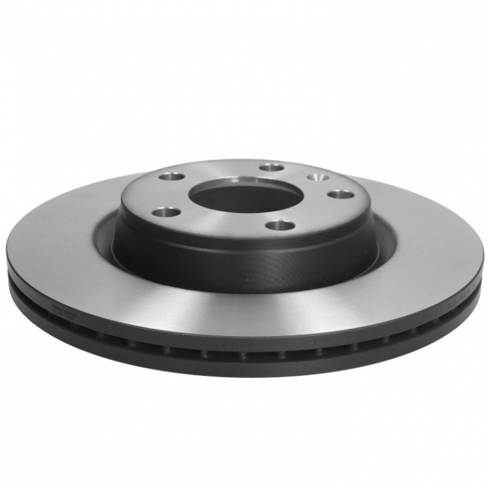 Disc Frana Fata Trw Volkswagen Passat B6 2005-2010 DF2806 [1]