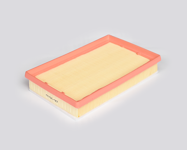 Filtru Aer [1]