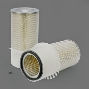 Filtru aer DONALDSON P181087 [1]