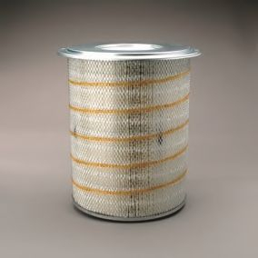 Filtru aer DONALDSON P181137 [1]