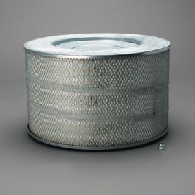 Filtru aer DONALDSON P781525 [1]