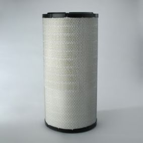 Filtru aer DONALDSON P781740 [1]