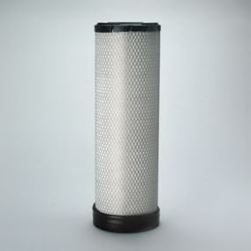 Filtru aer DONALDSON P782137 [1]