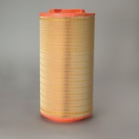 Filtru aer DONALDSON P785352 [1]