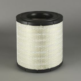 Filtru aer DONALDSON P952740 [1]