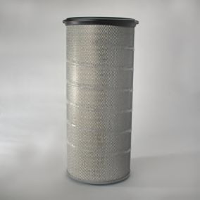 Filtru aer DONALDSON P953210 [1]