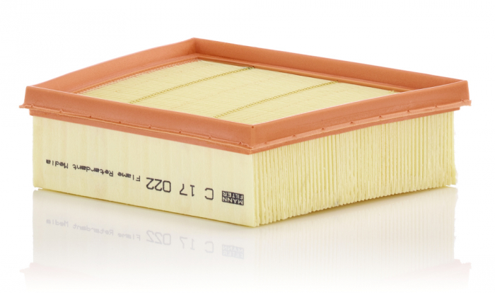 Filtru aer Mann-Filter C 17 022 [1]