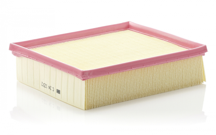 Filtru aer Mann-Filter C 24 123/2 [1]