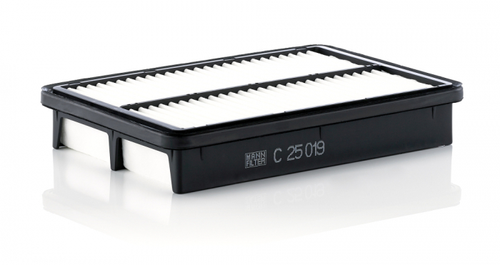 Filtru aer Mann-Filter C 25 019 [1]