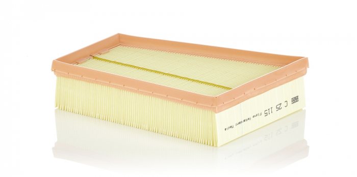 Filtru aer Mann-Filter C 25 115 [1]