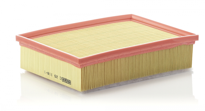Filtru aer Mann-Filter C 25 118/1 [1]