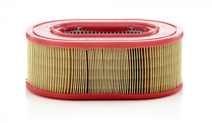 Filtru aer Mann-Filter C 25 124 [1]