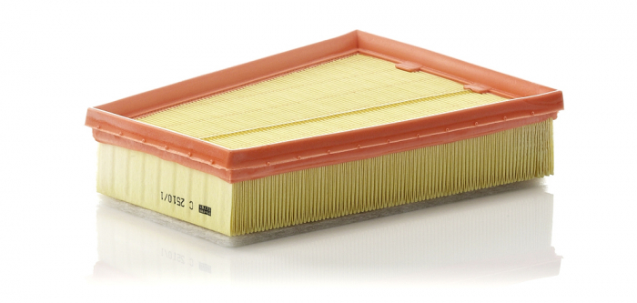 Filtru aer Mann-Filter C 2510/1 [1]