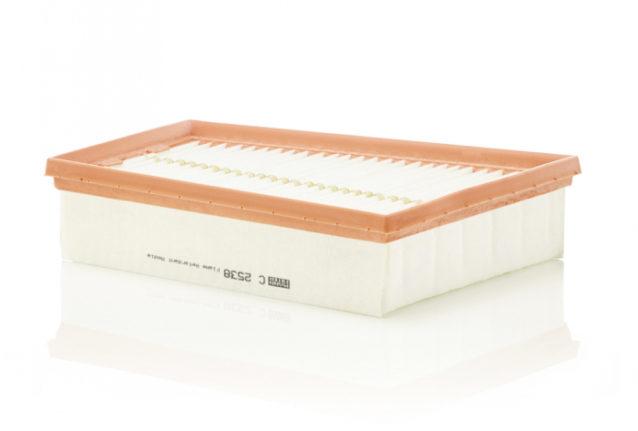 Filtru aer Mann-Filter C 2538 [1]