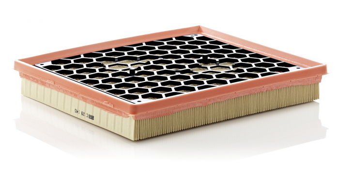 Filtru aer Mann-Filter C 29 145 [1]