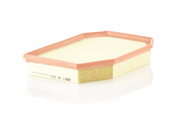 Filtru aer Mann-Filter C 30 003 [1]