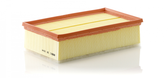 Filtru aer Mann-Filter C 30 004 [1]