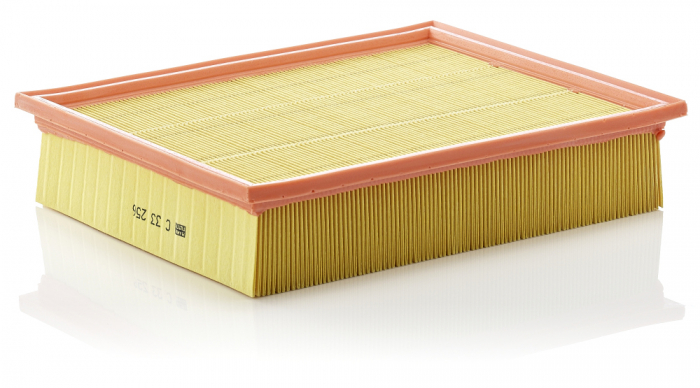 Filtru aer Mann-Filter C 33 256 [1]