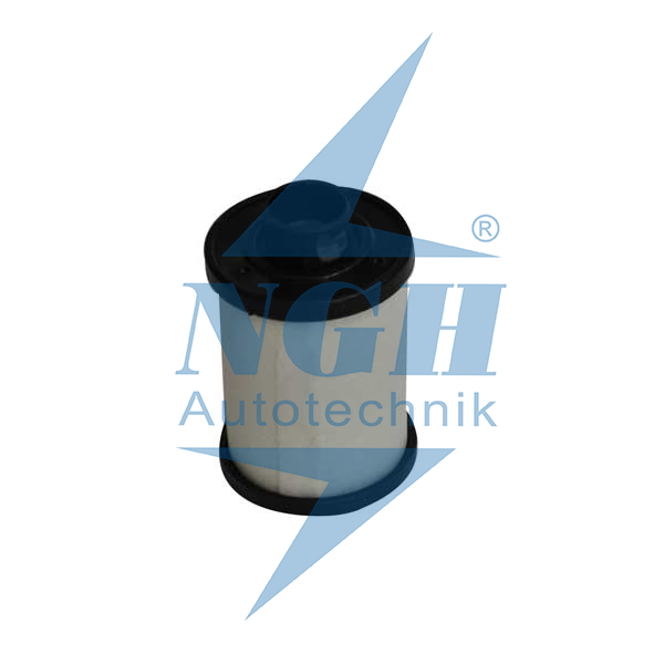 Filtru Combustibil [2]