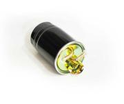 Filtru Combustibil [1]