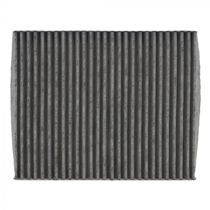 Filtru Habitaclu Antibacterian [2]