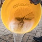 Galeata Spalare Auto Meguiar's Empty Bucket 19L RG203MG [3]