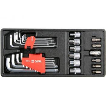 Insertie Dulap Scule, 31 Piese, Hex + Torx [1]