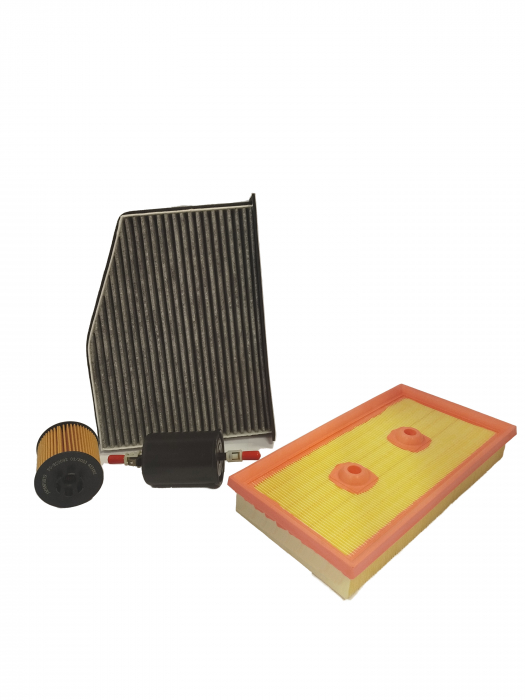 Pachet filtre revizie Golf V 1.6 FSI (1K1, 1K5, AJ5, 5M1, 521) BAG, BLF, BLP 1598cm115cp 10/03 → 07/08 [1]