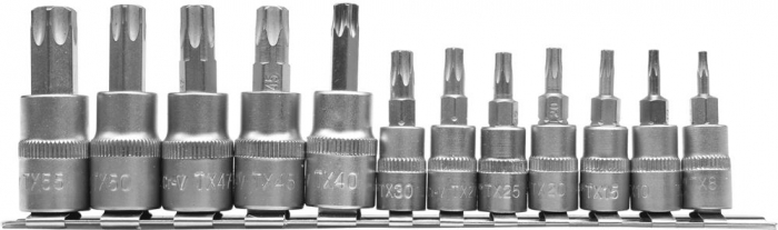 Set Biti Torx 12 Buc [1]