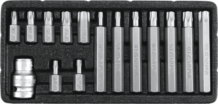 Set Biti Torx 15 Piese T20-T55 [1]