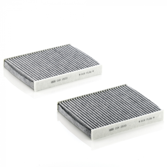Set filtre habitaclu CA Mann-Filter CUK 2533-2 [1]