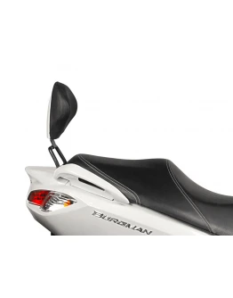 Sistem de fixare SHAD S0BR17RV pentru spatar SHAD [1]