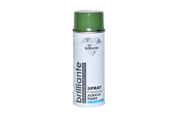 Vopsea Spray Verde Reseda (Ral 6011) 400 Ml Brilliante [1]