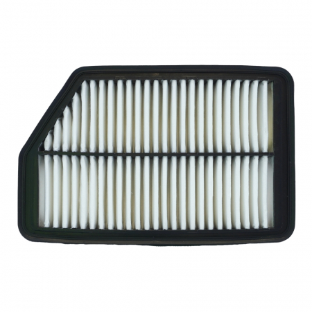 Filtru Aer [1]