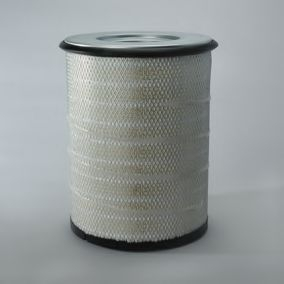 Filtre aer - Filtru aer DONALDSON P783870