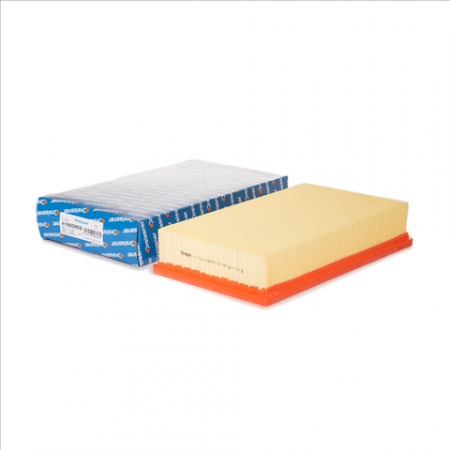 Filtre - Filtru aer DREISSNER A1080DREIS