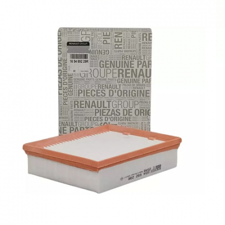 Filtre - Filtru aer RENAULT 165469229R
