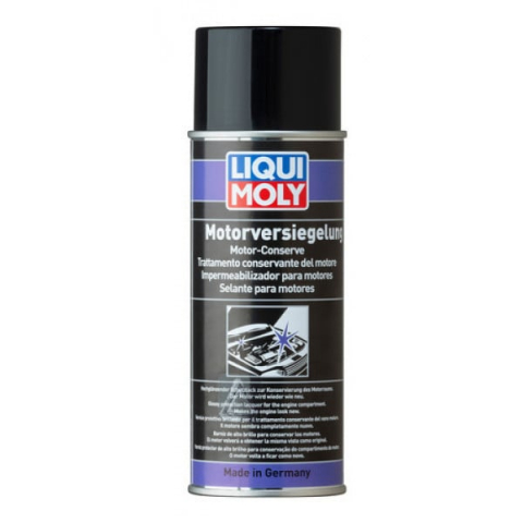Lichide - Spray protectie motor pe exterior 400ml
