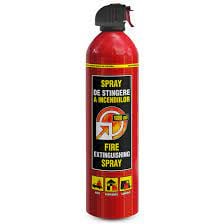Accesorii, piese auto - STINGATOR AUTO TIP SPRAY 1000ML