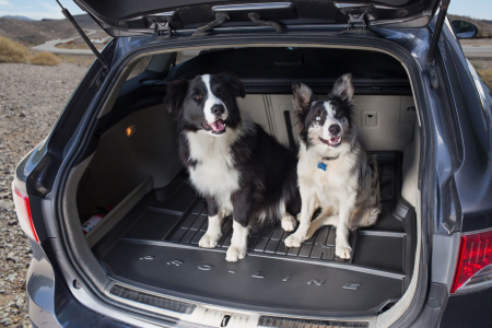 Tavita portbagaj Mercedes E W212  sedan fabricatie 03.2009 - 2016 (fara elemente din plastic in portbagaj - v1) #2 [8]