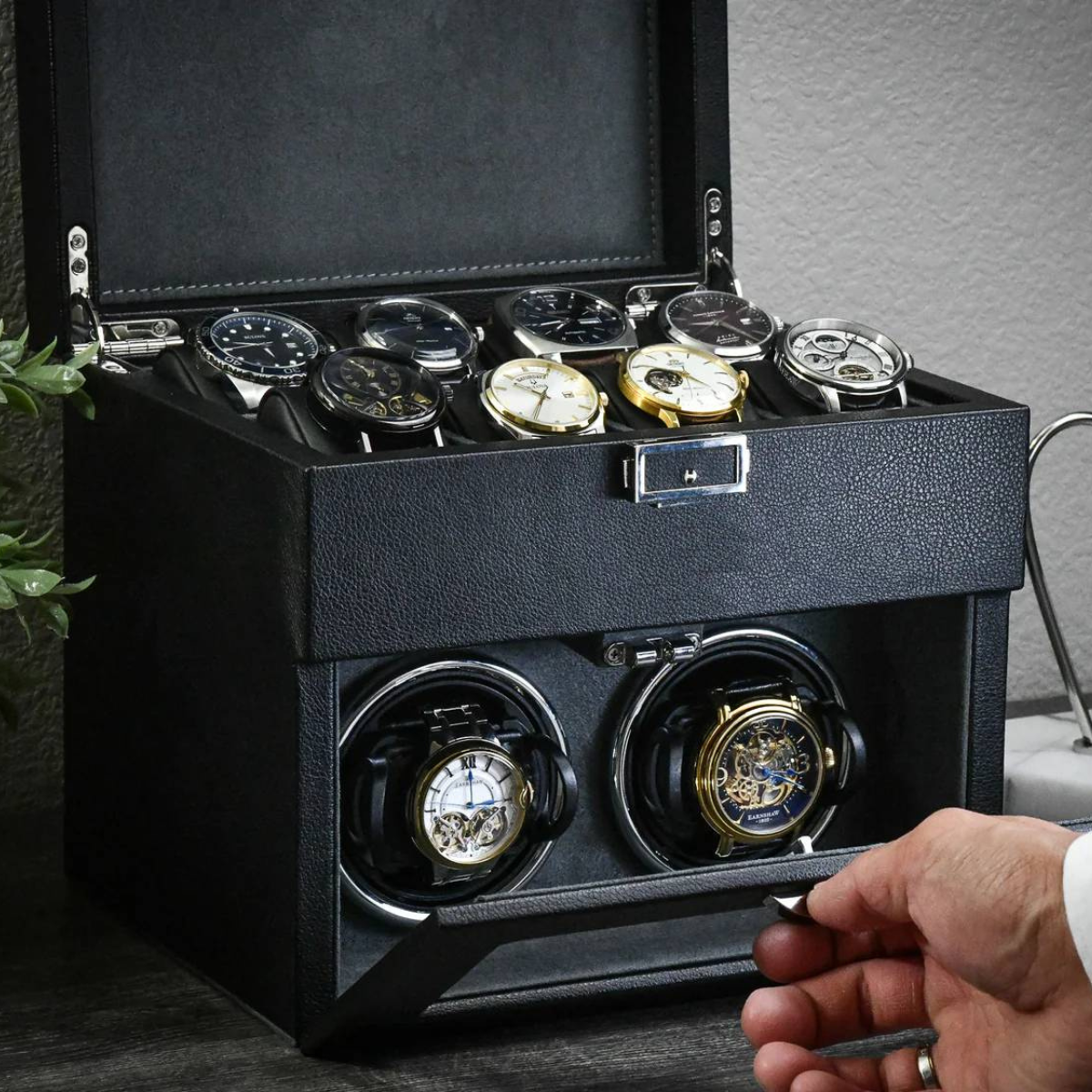 Watch Winder Ava Senses