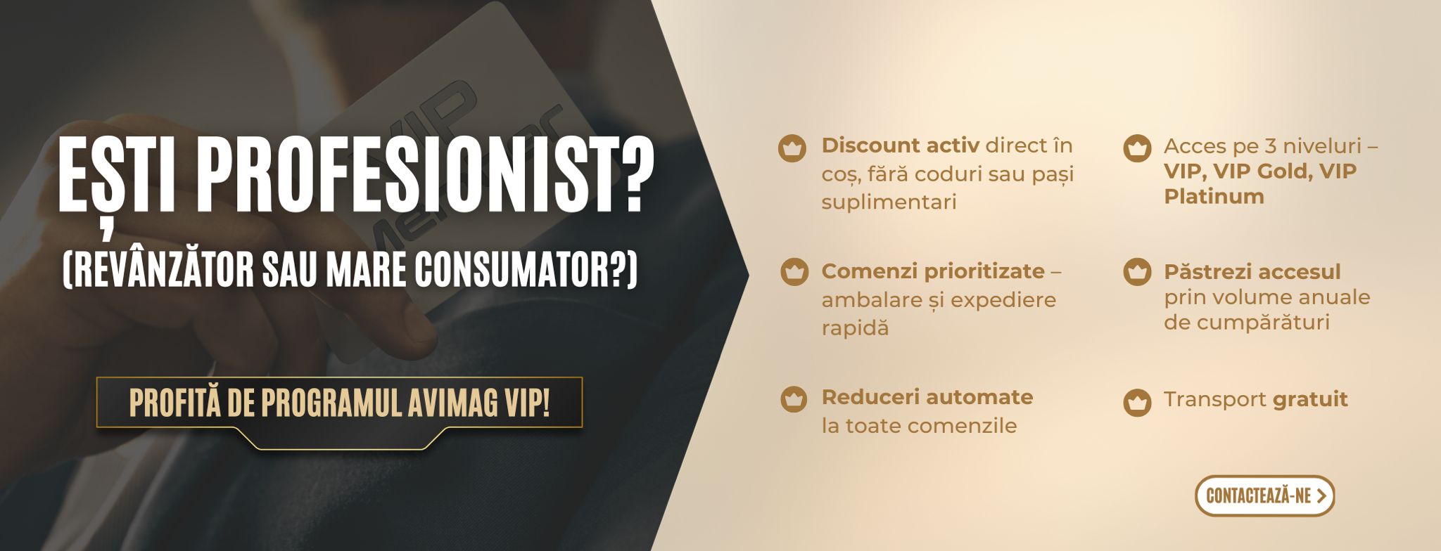 Profesionisti