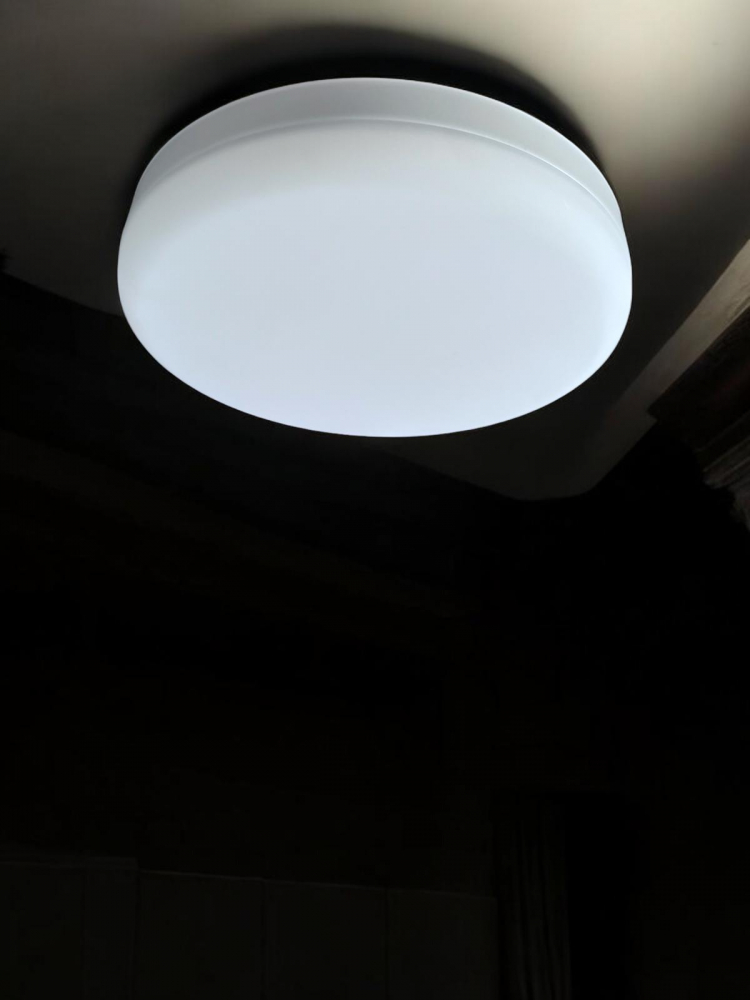 Aplica perete, Metal, LED integrat 36W, Lumina rece, 22cm [4]