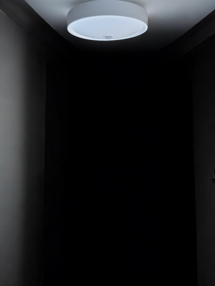 Aplica - plafoniera cu senzor de miscare, Ø20cm, 16W, lumina rece 6500k, AVI-4826 [2]