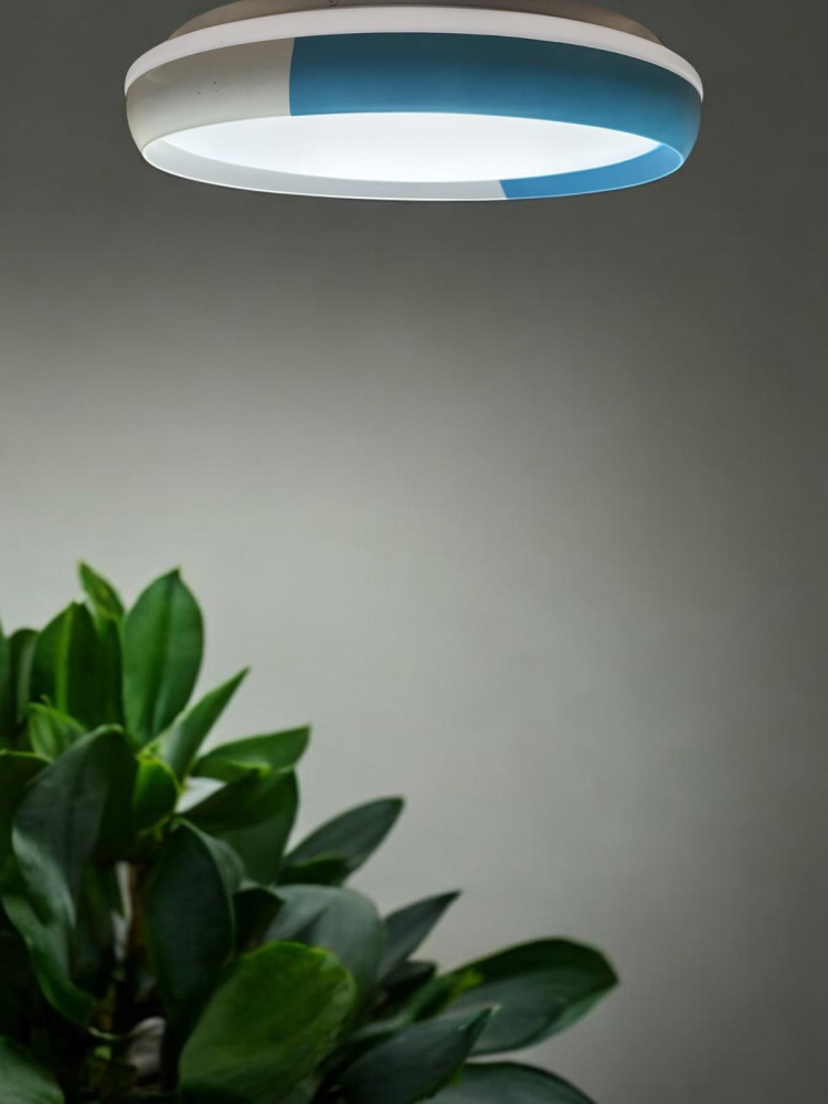 Aplica - plafoniera LED cu Ø40 cm, marginea alb - albastru, lumina rece, calda si neutra, AVI-4694 [1]