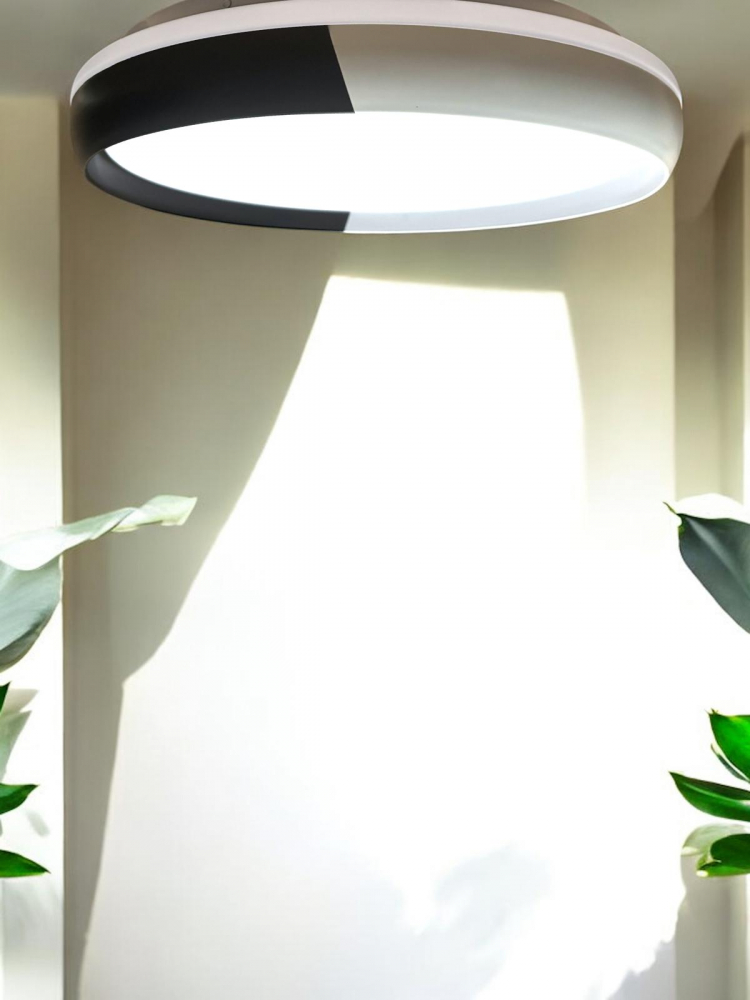 Aplica - plafoniera LED cu Ø40 cm, marginea alb - negru, lumina rece, calda si neutra, AVI-4693 [2]